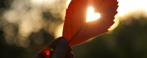 coeur à travers une feuille
