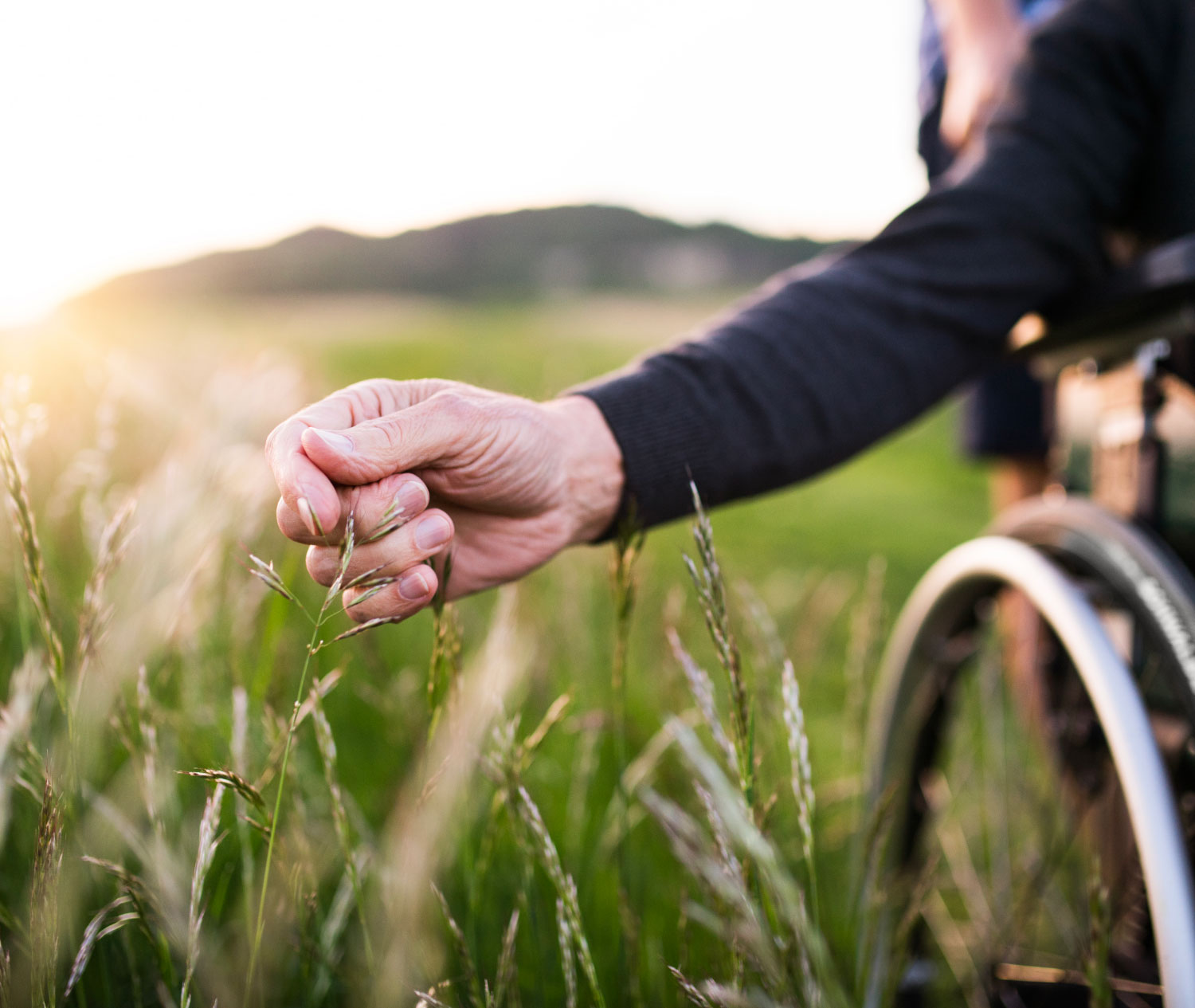 personne en fauteuil roulant caressant une plante